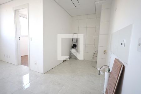 Cozinha e Área de Serviço de apartamento para alugar com 2 quartos, 34m² em Santa Maria, Santo André