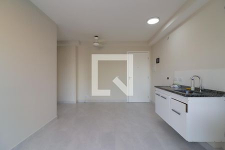 Sala/Cozinha e Área de Serviço de apartamento à venda com 1 quarto, 30m² em Vila Guilhermina, São Paulo