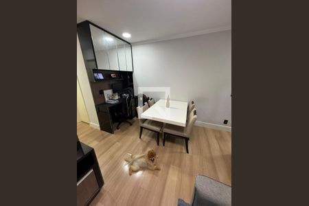 Sala de apartamento à venda com 2 quartos, 53m² em Engenheiro Goulart, São Paulo