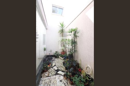 Jardim de Inverno  de casa para alugar com 5 quartos, 280m² em Nova Petrópolis, São Bernardo do Campo