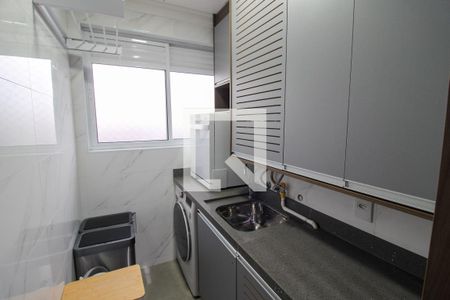 Área de Serviço de apartamento para alugar com 2 quartos, 50m² em Instituto de Previdencia, São Paulo