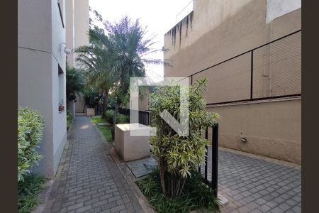 Área comum de apartamento para alugar com 2 quartos, 45m² em Vila Moraes, São Paulo