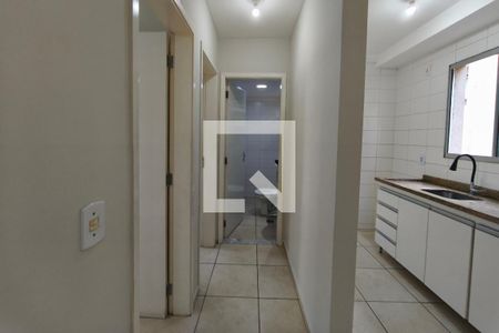 Corredor - Quartos de apartamento para alugar com 2 quartos, 48m² em Residencial Cosmos, Campinas