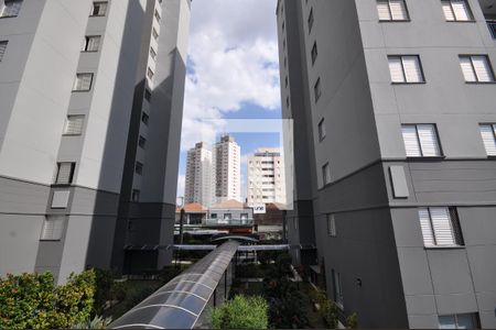 Vista da Sacada da Sala de apartamento para alugar com 2 quartos, 56m² em Vila Gustavo, São Paulo