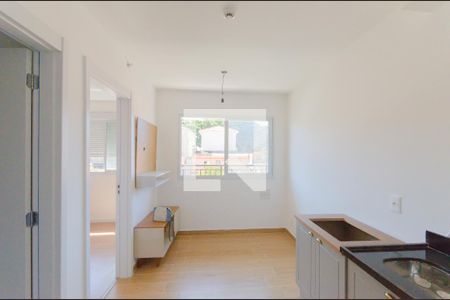 Sala/Cozinha de apartamento para alugar com 1 quarto, 32m² em Vila São José, São Paulo