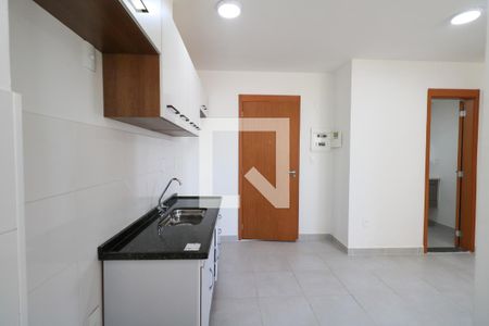 Cozinha e Área de Serviço de apartamento para alugar com 2 quartos, 42m² em Vila Palmares, São Caetano do Sul