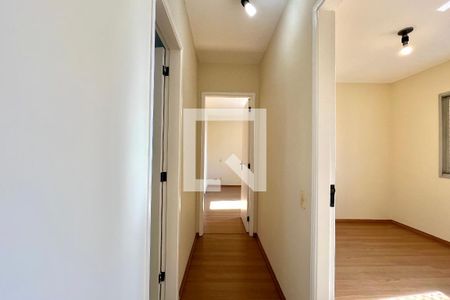 Corredor de apartamento para alugar com 2 quartos, 63m² em Vila Guarani, São Paulo