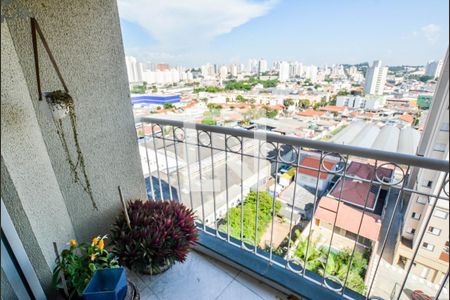 Apartamento à venda com 3 quartos, 60m² em Parque Bandeirante, Santo André