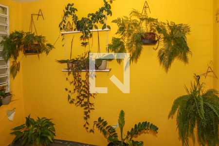 Casa 1 - Vista da Sala de casa para alugar com 3 quartos, 120m² em Vila Ipojuca, São Paulo