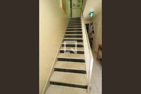 Escada de casa à venda com 5 quartos, 274m² em Tristeza, Porto Alegre