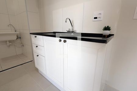 Cozinha de apartamento para alugar com 2 quartos, 38m² em Santa Maria, Santo André