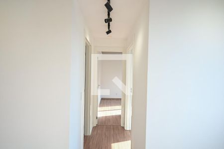 Corredor de apartamento para alugar com 2 quartos, 44m² em Jardim Monte Alegre, Taboão da Serra