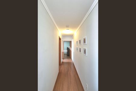 Corredor  de apartamento para alugar com 2 quartos, 55m² em Residencial Villa Garden, Campinas
