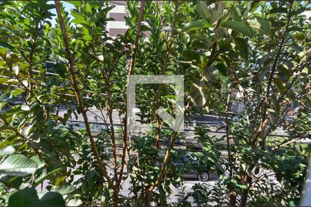 Quarto 1 de apartamento para alugar com 3 quartos, 75m² em Tijuca, Rio de Janeiro