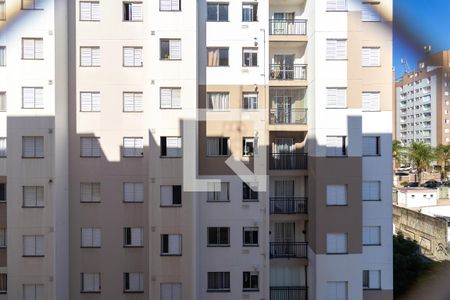 Apartamento para alugar com 2 quartos, 43m² em Parque Reboucas, São Paulo