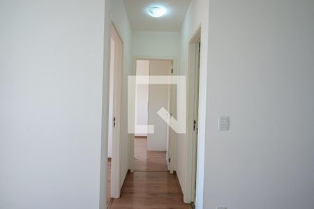 Corredor de apartamento para alugar com 2 quartos, 50m² em Vila Andrade, São Paulo
