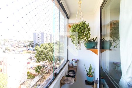 Sacada de apartamento à venda com 3 quartos, 65m² em Jardim Itapemirim, São Paulo