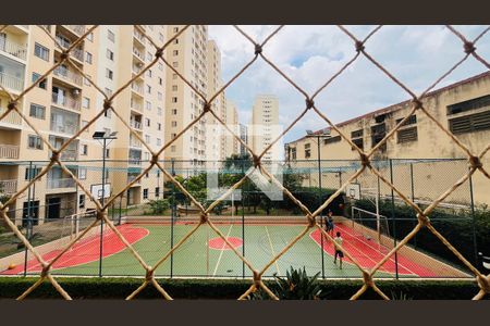 Apartamento para alugar com 2 quartos, 54m² em Botafogo, Campinas