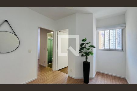 Apartamento à venda com 1 quarto, 43m² em Vila Lidia, Campinas