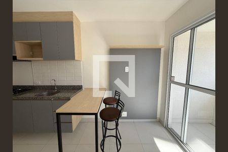Kitnet/Studio para alugar com 1 quarto, 29m² em Centro Histórico de São Paulo, São Paulo