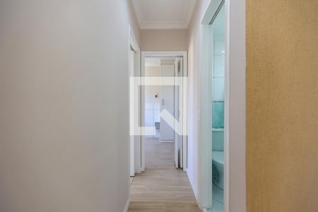 Corredor de apartamento para alugar com 2 quartos, 48m² em Jardim Ampliacao, São Paulo