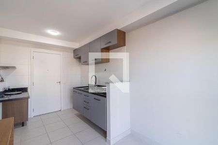 Sala/Cozinha de apartamento para alugar com 1 quarto, 28m² em Vila Ré, São Paulo