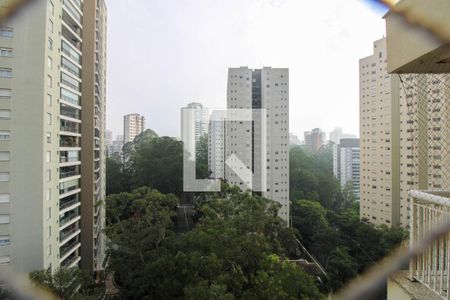 Vista Escritório  de apartamento para alugar com 5 quartos, 223m² em Vila Morumbi, São Paulo