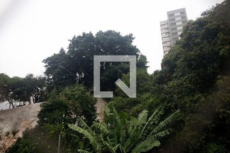 Quarto 1 Vista de apartamento à venda com 3 quartos, 76m² em Rio Branco, Porto Alegre