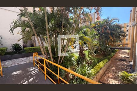 Apartamento para alugar com 2 quartos, 50m² em Setor dos Afonsos, Goiânia