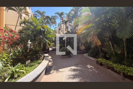 Apartamento para alugar com 2 quartos, 50m² em Setor dos Afonsos, Goiânia