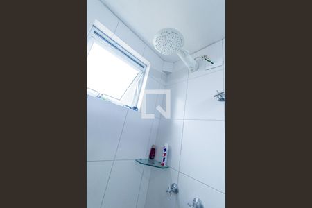 Banheiro Social de apartamento para alugar com 1 quarto, 37m² em Portão, Curitiba