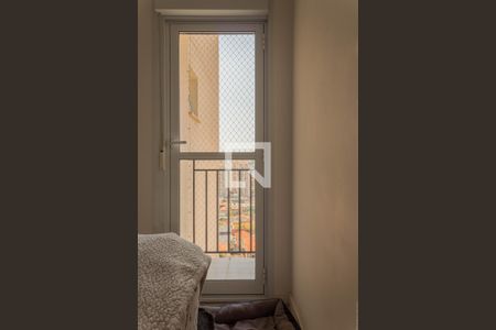 Quarto 1 de apartamento para alugar com 2 quartos, 51m² em Baeta Neves, São Bernardo do Campo