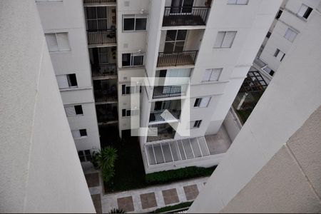 Detalhe - Vista da Varanda da Sala de apartamento para alugar com 2 quartos, 50m² em Vila Cruz das Almas, São Paulo