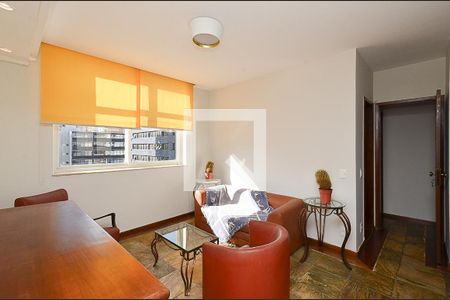 Sala de Estar de apartamento para alugar com 2 quartos, 75m² em Funcionários, Belo Horizonte