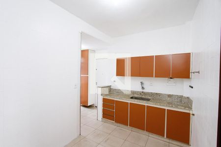 Cozinha de apartamento para alugar com 3 quartos, 110m² em Santa Lúcia, Belo Horizonte