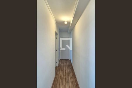 Corredor  de apartamento para alugar com 2 quartos, 51m² em Jardim Nova Europa, Campinas