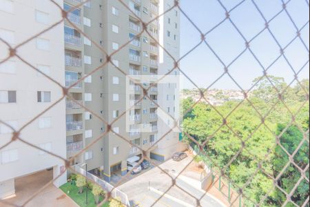 Vista da Suíte de apartamento para alugar com 3 quartos, 75m² em Jardim Nova Europa, Campinas