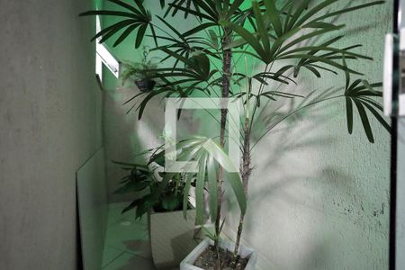 Jardim de Inverno de casa à venda com 3 quartos, 167m² em Vila Francisco Matarazzo, Santo André