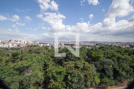 Sala 1 - Vista de apartamento para alugar com 3 quartos, 300m² em Castelo, Belo Horizonte