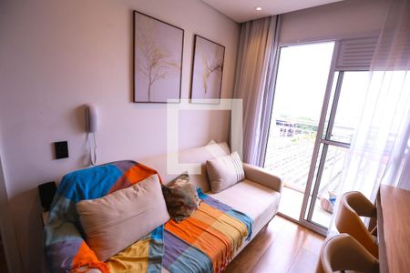 Sala de apartamento à venda com 1 quarto, 31m² em Vila Palmeiras, São Paulo