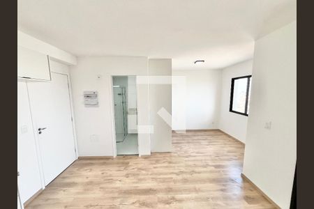 Sala/Quarto/Cozinha de kitnet/studio para alugar com 1 quarto, 30m² em Tucuruvi, São Paulo