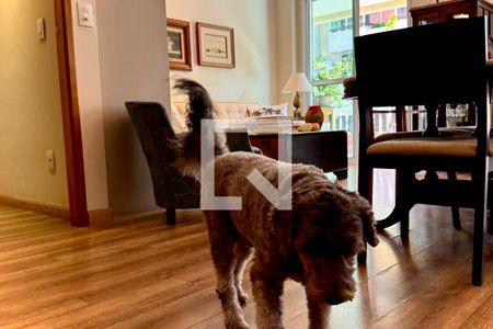 Sala/cozinha de apartamento à venda com 2 quartos, 117m² em Laranjeiras, Rio de Janeiro