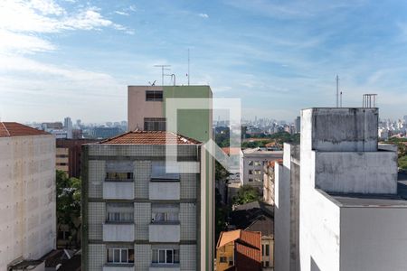 Vista de apartamento à venda com 4 quartos, 235m² em Bom Retiro, São Paulo