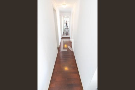 CORREDOR de apartamento à venda com 3 quartos, 92m² em Bonfim, Campinas