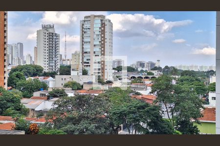 Vista de apartamento para alugar com 2 quartos, 94m² em Vila Hamburguesa, São Paulo