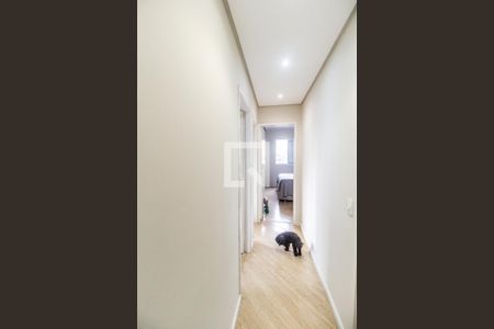 Corredor de apartamento à venda com 2 quartos, 68m² em Jardim Tupanci, Barueri