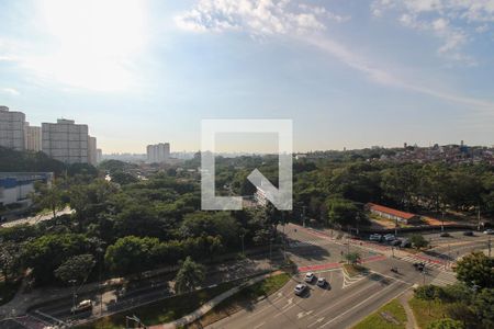 Vista do Quarto 1 de apartamento para alugar com 2 quartos, 54m² em Rio Pequeno, São Paulo