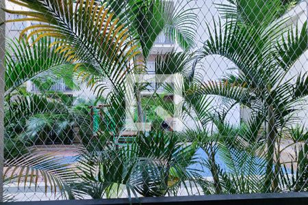 Vista de apartamento para alugar com 2 quartos, 45m² em Andaraí, Rio de Janeiro