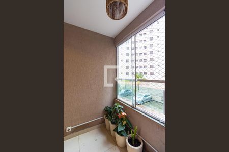 Apartamento para alugar com 3 quartos, 70m² em Paraíso do Morumbi, São Paulo