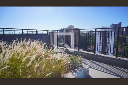 Terraço de apartamento para alugar com 1 quarto, 25m² em Rio Branco, Porto Alegre